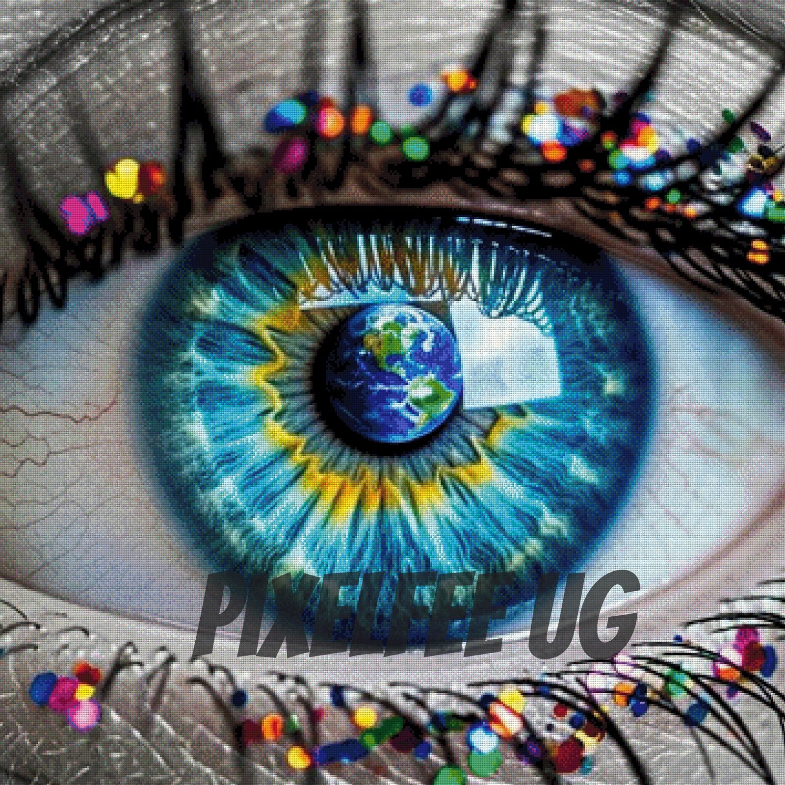 Pixelfee Diamond Painting Auge von Raven