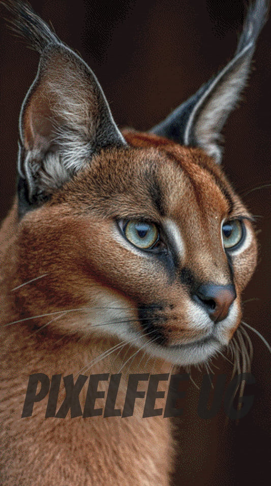 Pixelfee Diamond Painting Caracal von Kreativköter