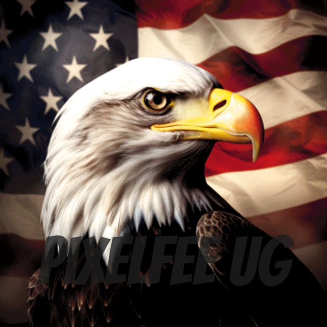Pixelfee Diamond Painting Bald Eagle with american Flag von Kreativköter