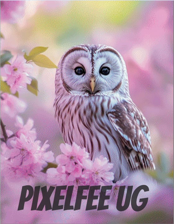 Pixelfee Diamond Painting Eule #1 von Kreativköter