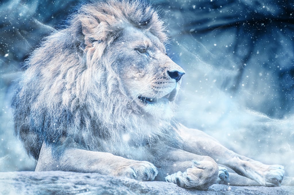 Pixelfee Diamond Painting Bild: Blue Lion