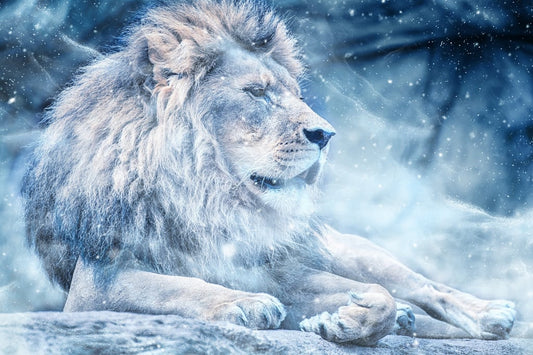 Pixelfee Diamond Painting Bild: Blue Lion