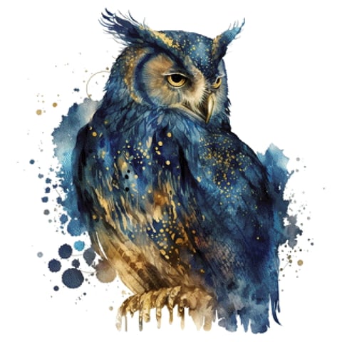 Pixelfee Diamond Painting Owl Watercolor #1