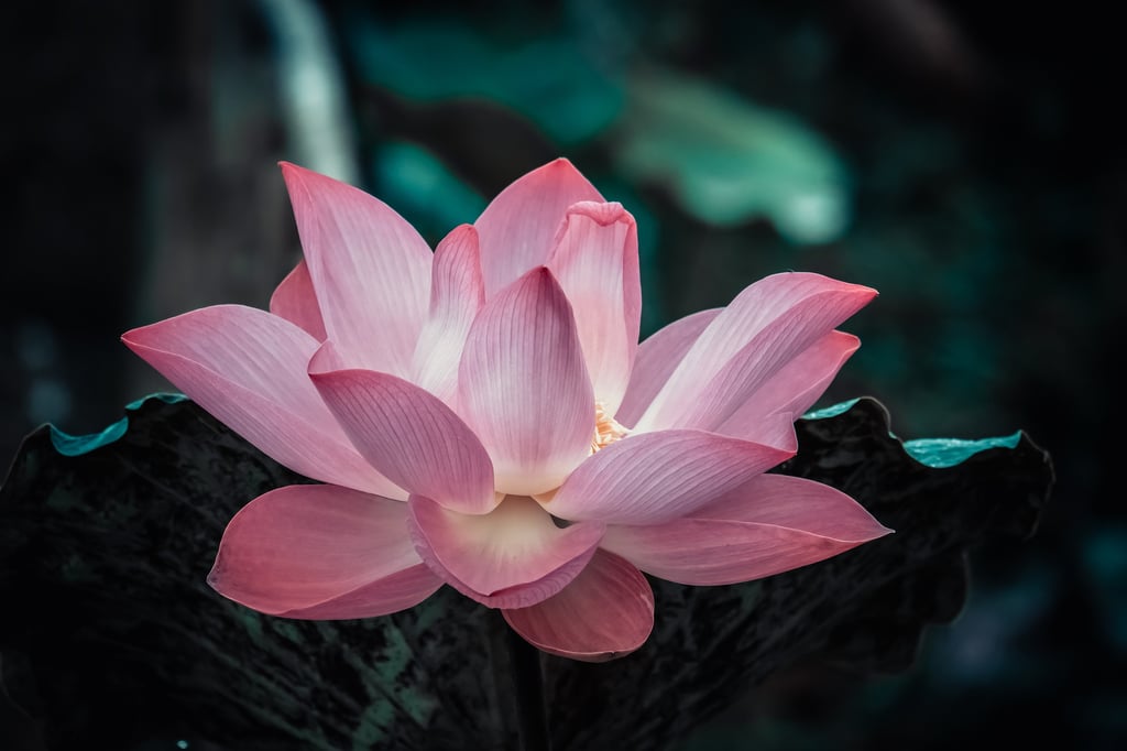 Pixelfee Diamond Painting Pink Flower