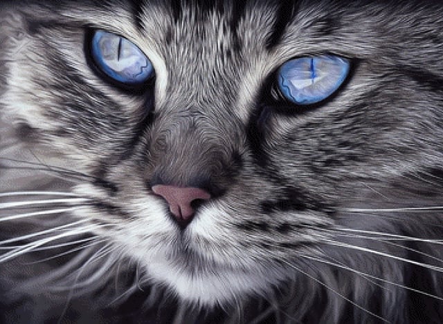 Pixelfee Diamond Painting Blue Eye