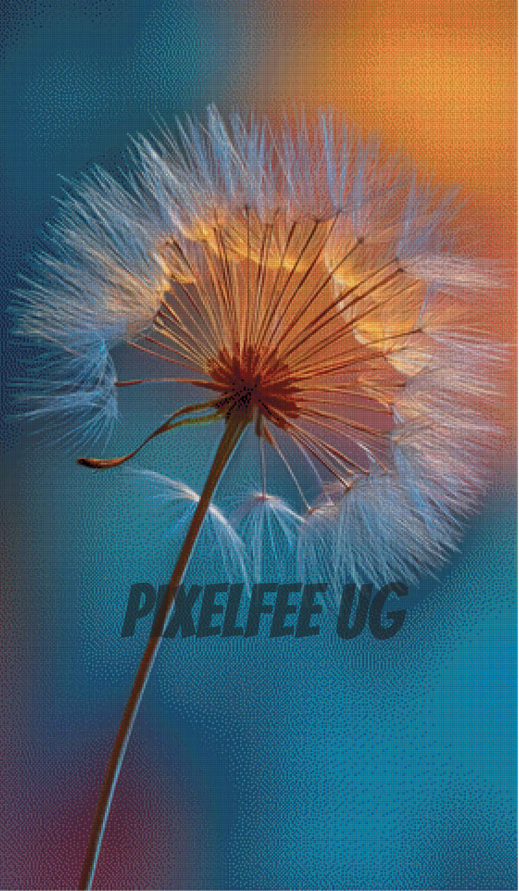 Pixelfee Diamond Painting Dandeloin in the sun von Kreativköter